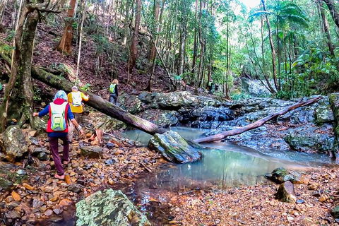 Guided E Bike Tour - Unicorn Falls & National Park - Lismore Accommodation 17