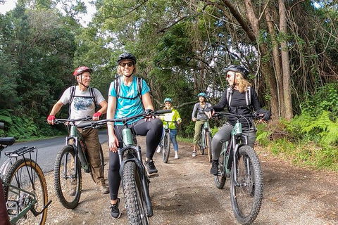 Guided E Bike Tour - Unicorn Falls & National Park - Lismore Accommodation 11