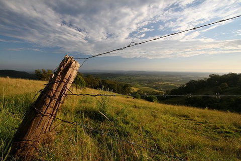 Private Full-Day Wine Tour In Hunter Valley - Lismore Accommodation 3