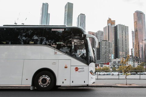 Private 24 Seat Mini Bus Sydney CBD To Penrith Stadium Transfer - Lismore Accommodation 1