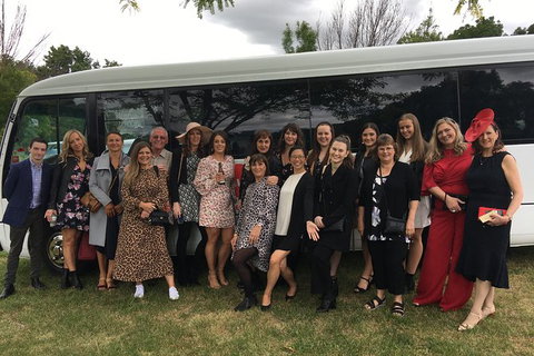 Private 24 Seat Mini Bus Sydney CBD To Penrith Stadium Transfer - Lismore Accommodation 5