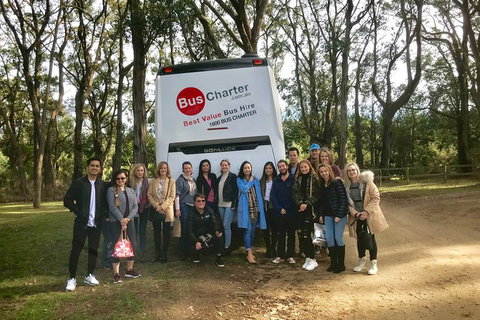 Private 24 Seat Mini Bus Sydney CBD To Penrith Stadium Transfer - Lismore Accommodation 7