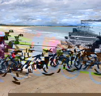 E-Bike Rentals in Sydney Botany Bay - Lismore Accommodation