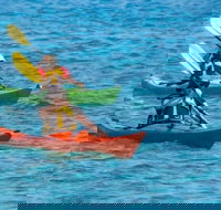 Small-Group Kayaking Experience in Sydney - Lismore Accommodation