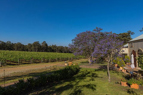 Hideaway Private Tours Hunter Valley - Lismore Accommodation 3