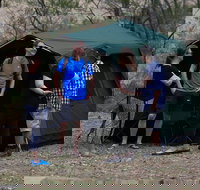 Private Overnight Camping Adventure in Mogo Wildlife Park - Lismore Accommodation