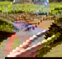 Wine Tasting in Canberra Region - Lismore Accommodation