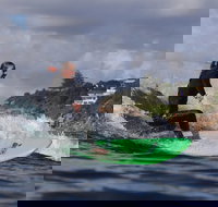 Red Dog Surf - Professional Surf Lessons - Lismore Accommodation