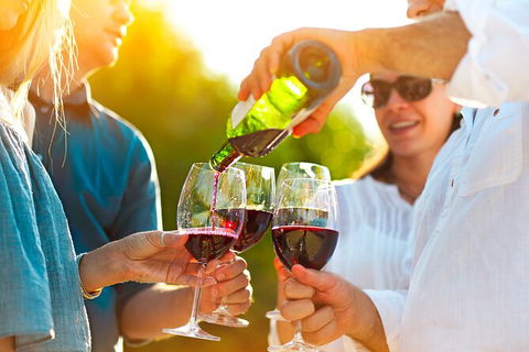 All-inclusive Morning Wine Tour In Orange - Lismore Accommodation 4