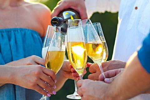 All-inclusive Morning Wine Tour In Orange - Lismore Accommodation 9