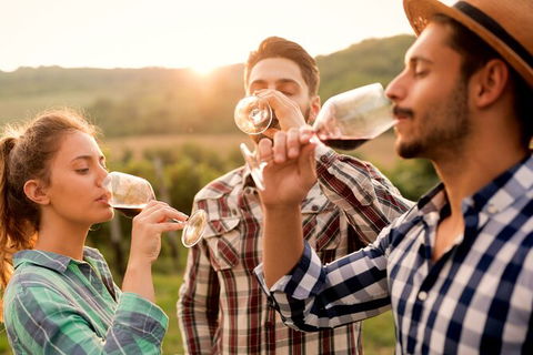 All-inclusive Morning Wine Tour In Orange - Lismore Accommodation 0