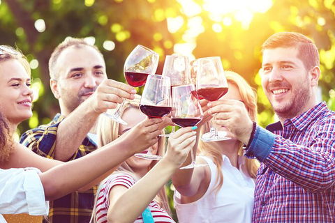 All-inclusive Morning Wine Tour In Orange - Lismore Accommodation 2