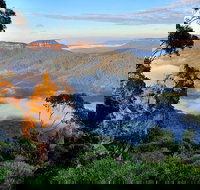 Private 10-hour Tour to Blue Mountains from Sydney - Hotel pick up  drop off - Lismore Accommodation