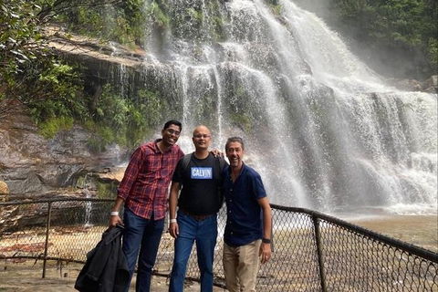 Blue Mountains Highlights & Wildlife Park - Lismore Accommodation 4