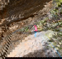 Blue Mountains Highlights  Wildlife Park - Lismore Accommodation