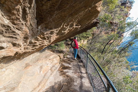 Blue Mountains Highlights & Wildlife Park - Lismore Accommodation 0