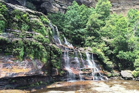 Blue Mountains Highlights & Wildlife Park - Lismore Accommodation 8