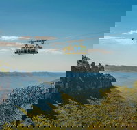 Blue Mountains Highlights Wildlife Park and Scenic World Full Day Private Tour - Lismore Accommodation