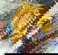 Mardi Gras Latin Fiesta on Sydney Harbour - Lismore Accommodation