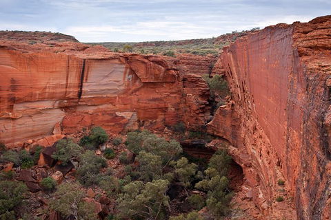 Uluru, Kata Tjuta And Kings Canyon Camping Safari From Alice Springs - Lismore Accommodation 4