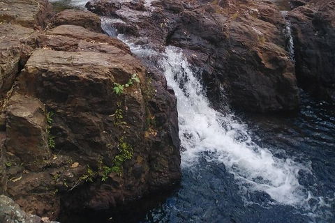 Full-Day Private Guided Tour To Litchfield National Park - Lismore Accommodation 8