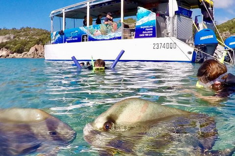 Aquascene Magnetic Island Discovery Tour - Lismore Accommodation 4