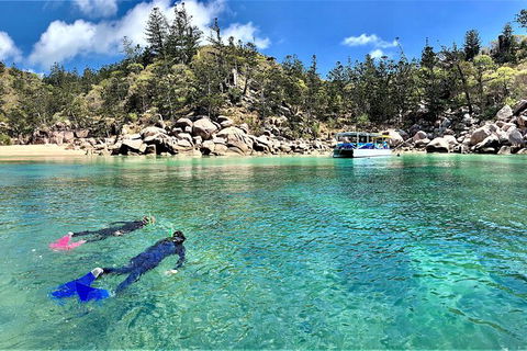 Aquascene Magnetic Island Discovery Tour - Lismore Accommodation 8