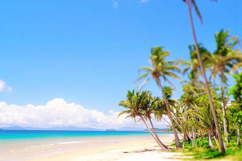 Airport Transfer - Mission Beach To Cairns Airport - Lismore Accommodation 3