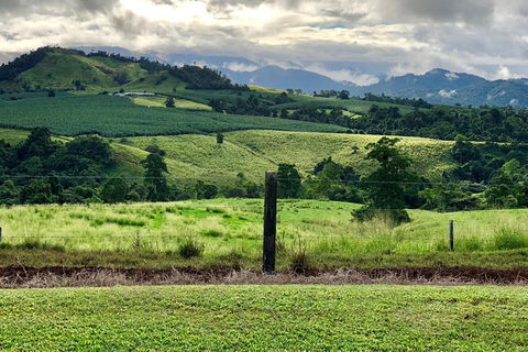 Tableland Tasting Tour - Lismore Accommodation 0