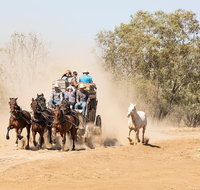 Cobb and Co Stagecoach Experience - Lismore Accommodation