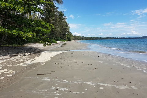 Private Transfers - Cairns Airport To Palm Cove - Lismore Accommodation 1
