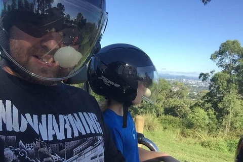 Best Of Brisbane - Lismore Accommodation 6