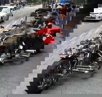 Unique vehicle tour around Brisbane