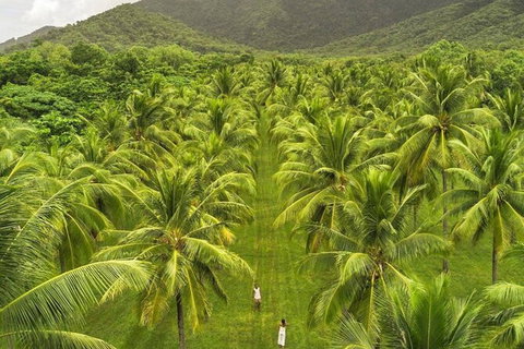 SHUTTLE - Thala Beach And Turtle Cove From Port Douglas (Return Transfer) - Lismore Accommodation 1