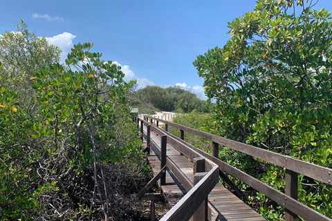 Hinchinbrook Island Tour - Lismore Accommodation 4