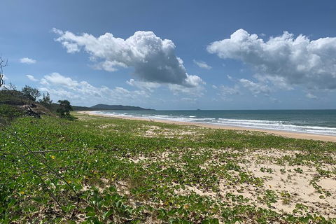 Hinchinbrook Island Tour - Lismore Accommodation 5