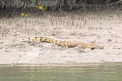 Hinchinbrook Island Tour - Lismore Accommodation 2