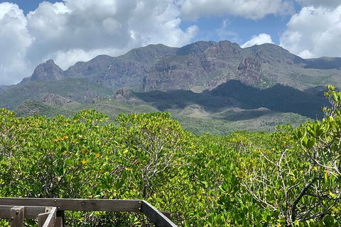 Hinchinbrook Island Tour - Lismore Accommodation 0