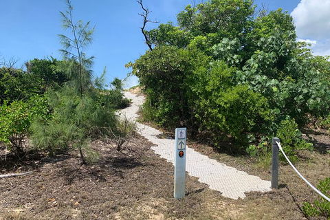 Hinchinbrook Island Tour - Lismore Accommodation 1