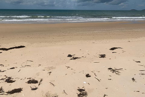 Hinchinbrook Island Tour - Lismore Accommodation 6