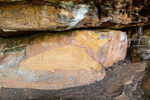 Half Day Aboriginal Rock Art Experience In Queensland - Lismore Accommodation 3