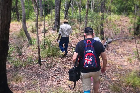 Half Day Aboriginal Rock Art Experience In Queensland - Lismore Accommodation 5