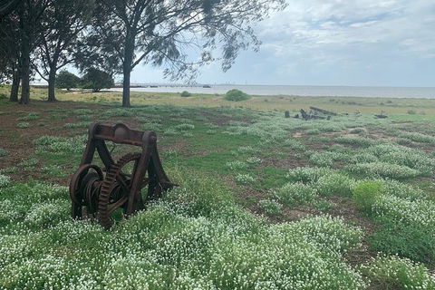 Half Day St. Helena Island Tour - Lismore Accommodation 1