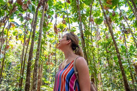 5 Day Australia Retreat: Queensland Daintree - Lismore Accommodation 3