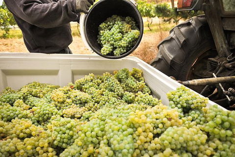Adelaide Hills Wineries & Hahndorf - Lismore Accommodation 0