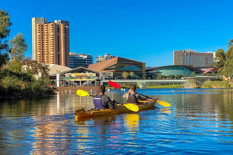 Adelaide City Kayak Tour - Lismore Accommodation 3