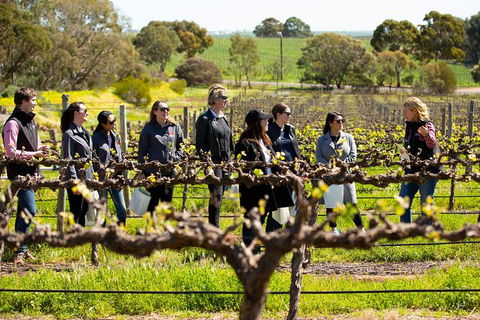 Walk, Taste, Graze - Experience At Pindarie - Lismore Accommodation 2