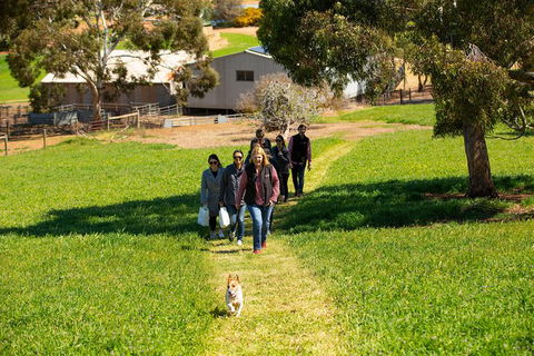Walk, Taste, Graze - Experience At Pindarie - Lismore Accommodation 7