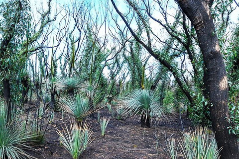 NEW TOUR - Kangaroo Island Road To Recovery Tour (1 Day/1 Night) - Lismore Accommodation 4