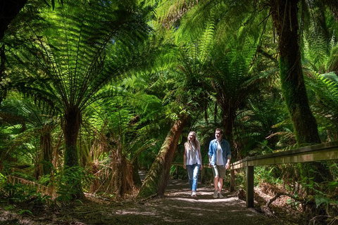 The Great Ocean Road 1 Day Private Sunset Tour - Lismore Accommodation 1